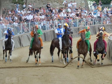 immagine articolo