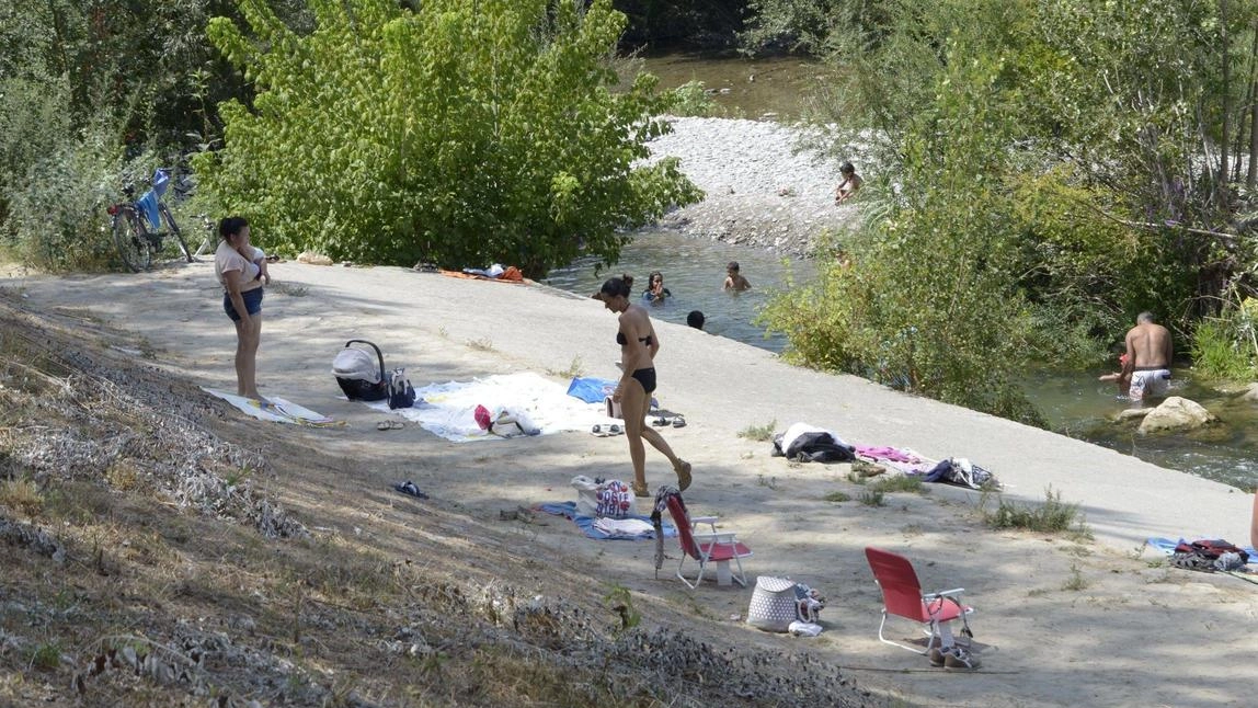 Tanti i turisti che hanno scelto il lungo fiume come alternativa al mare in questa estate torrida. Molti quelli in arrivo dal nord Europa. Dalla Germania all’Olanda all’Alsazia, ecco cosa ci hanno raccontato. Tanti i turisti che hanno scelto il lungo fiume come alternativa al mare in questa estate torrida. Molti quelli in arrivo dal nord Europa. Dalla Germania all’Olanda all’Alsazia, ecco cosa ci hanno raccontato.