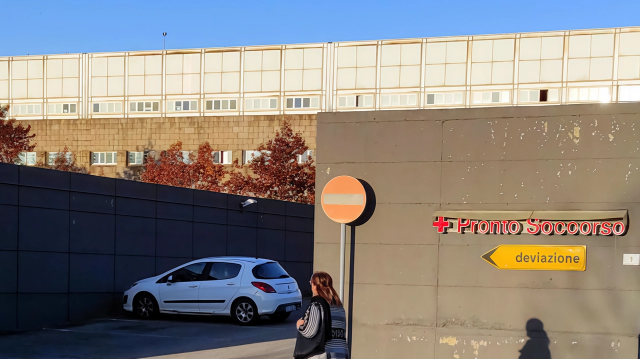 Denunciata l’ennesima proliferazione delle zanzare al pronto soccorso dell’ospedale del Valdarno Denunciata l’ennesima proliferazione delle zanzare al pronto soccorso dell’ospedale del Valdarno