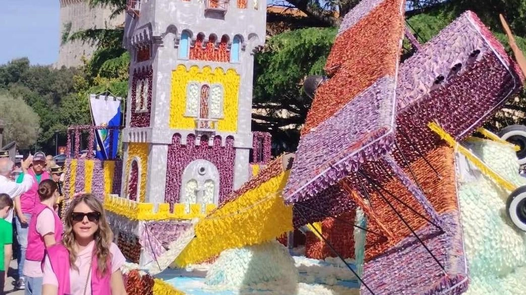 I carri allegorici saranno quattro interamente rivestiti di petali di tulipano: si stimano che ne verrà utilizzato oltre un milione per completare le opere