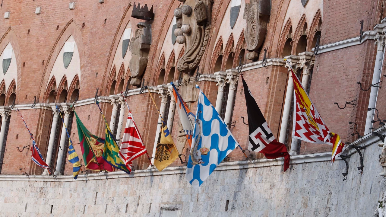 Le dieci bandiere alle trifore dopo l’estrazione di domenica: Pantera, Tartuca, Drago, Bruco, Giraffa, Aquila, Leocorno, Onda, Civetta, Valdimontone (Foto Lazzeroni) Le dieci bandiere alle trifore dopo l’estrazione di domenica: Pantera, Tartuca, Drago, Bruco, Giraffa, Aquila, Leocorno, Onda, Civetta, Valdimontone (Foto Lazzeroni)