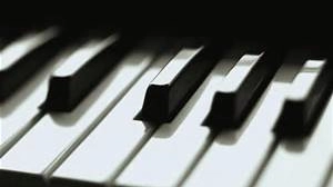 musica musica