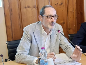 immagine articolo