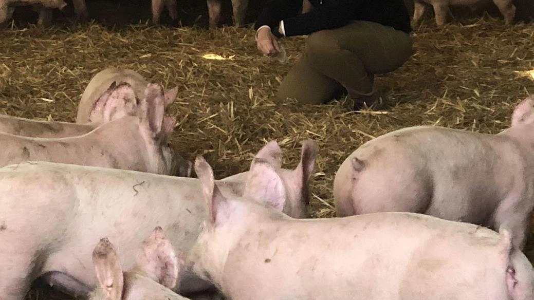 Dopo Cecina chiude Colle Val d’Elsa, un enorme disagio a livello di costi e distanze siderali "Vari spiragli di apertura ma dopo oltre un anno non si ha una conferma di riapertura". Dopo Cecina chiude Colle Val d’Elsa, un enorme disagio a livello di costi e distanze siderali "Vari spiragli di apertura ma dopo oltre un anno non si ha una conferma di riapertura".