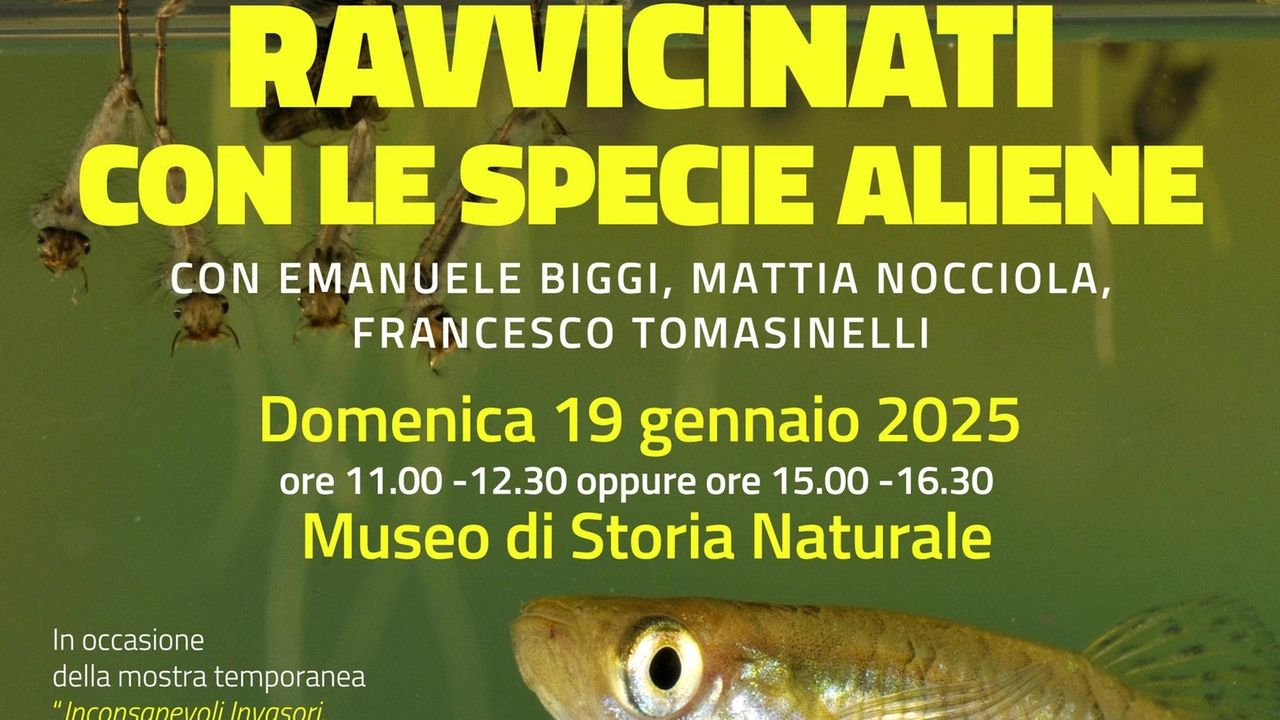 La locandina dell'evento La locandina dell'evento