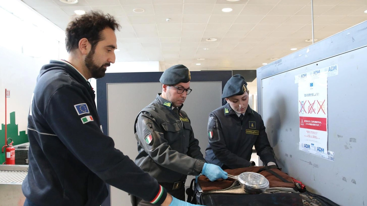 I controlli di agenzia delle dogane e guardia di finanza I controlli di agenzia delle dogane e guardia di finanza
