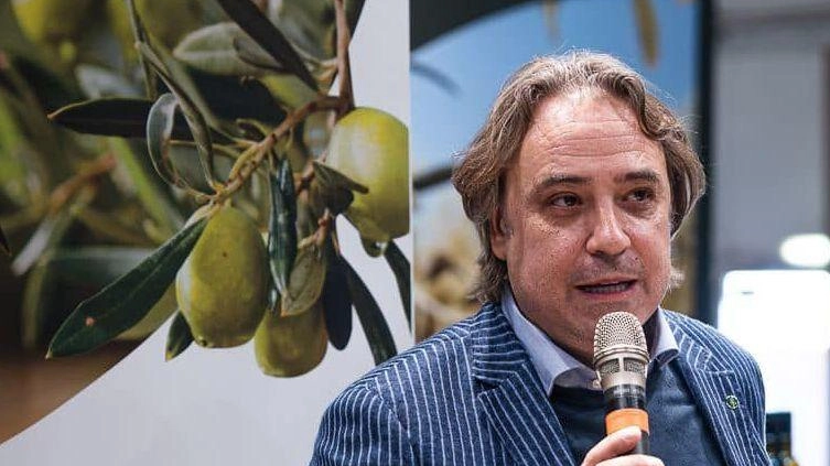 Marco Viola, presidente di Assoprol, fa il punto sulla campagna olearia appena iniziata, con occhio attento sulla qualità e sui prezzi dell’extravergine umbro Marco Viola, presidente di Assoprol, fa il punto sulla campagna olearia appena iniziata, con occhio attento sulla qualità e sui prezzi dell’extravergine umbro