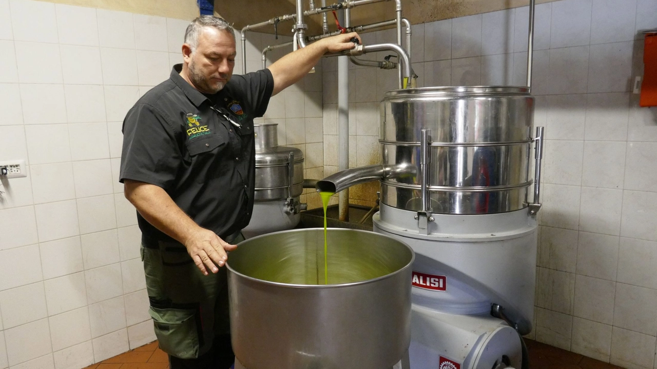 L'olio, un altro dei prodotti più colpiti dai dazi