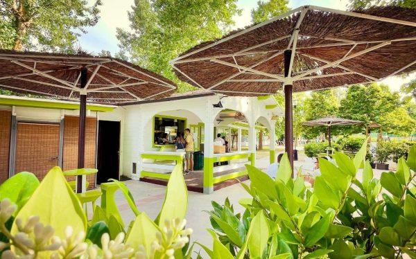 https://www.lanazione.it/image-service/view/acePublic/alias/contentid/NWQ4YjY5M2ItNzdjOS00/0/estate-al-parco-pubblico-tiziano-terzani-di-terranuova.jpeg