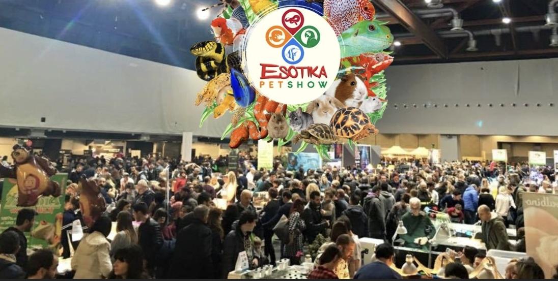 “Esotika Pet Show”: in arrivo il salone nazionale degli animali esotici