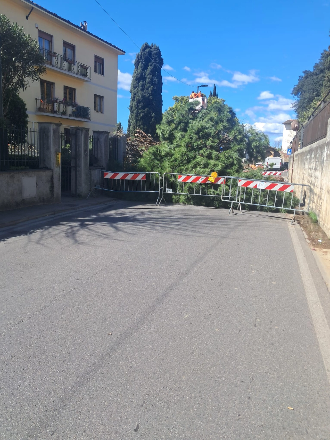 immagine di sfondo 3