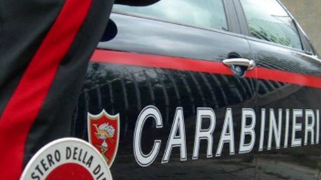 Carabinieri (immagine di repertorio) Carabinieri (immagine di repertorio)