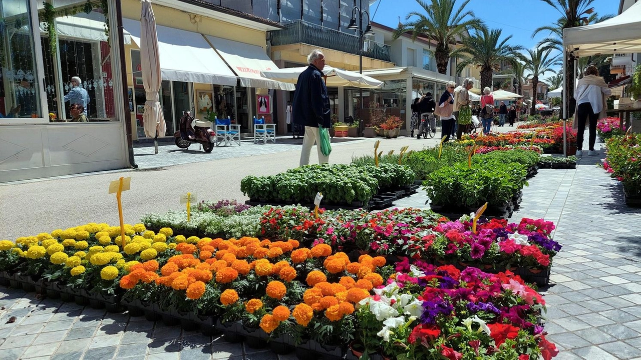 Torna Marina in Fiore, l’appuntamento con la bellezza e con il profumo dei fiori