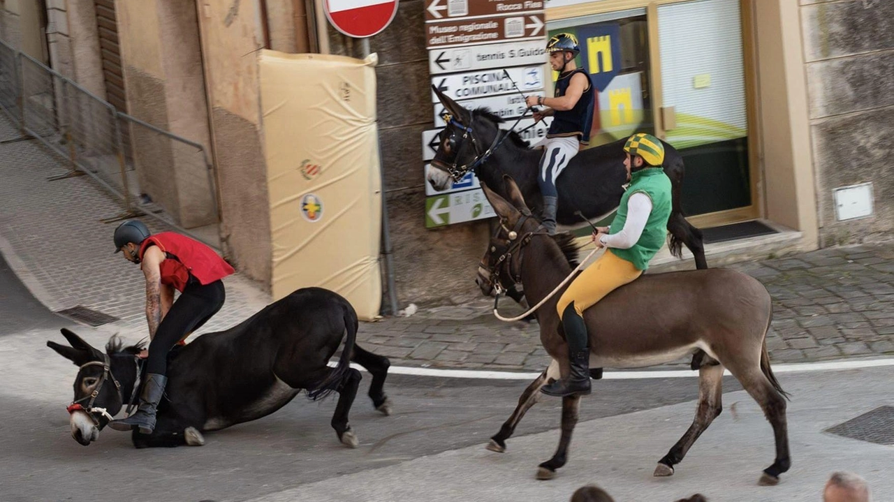La caduta di Bombolino e l’abbraccio del fantinoBarberini (foto Chiucchi) La caduta di Bombolino e l’abbraccio del fantinoBarberini (foto Chiucchi)