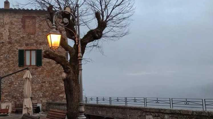 L’olmo che ha accompagnato generazioni di chiusdinesi in uno dei luoghi di ritrovo nel cuore del paese