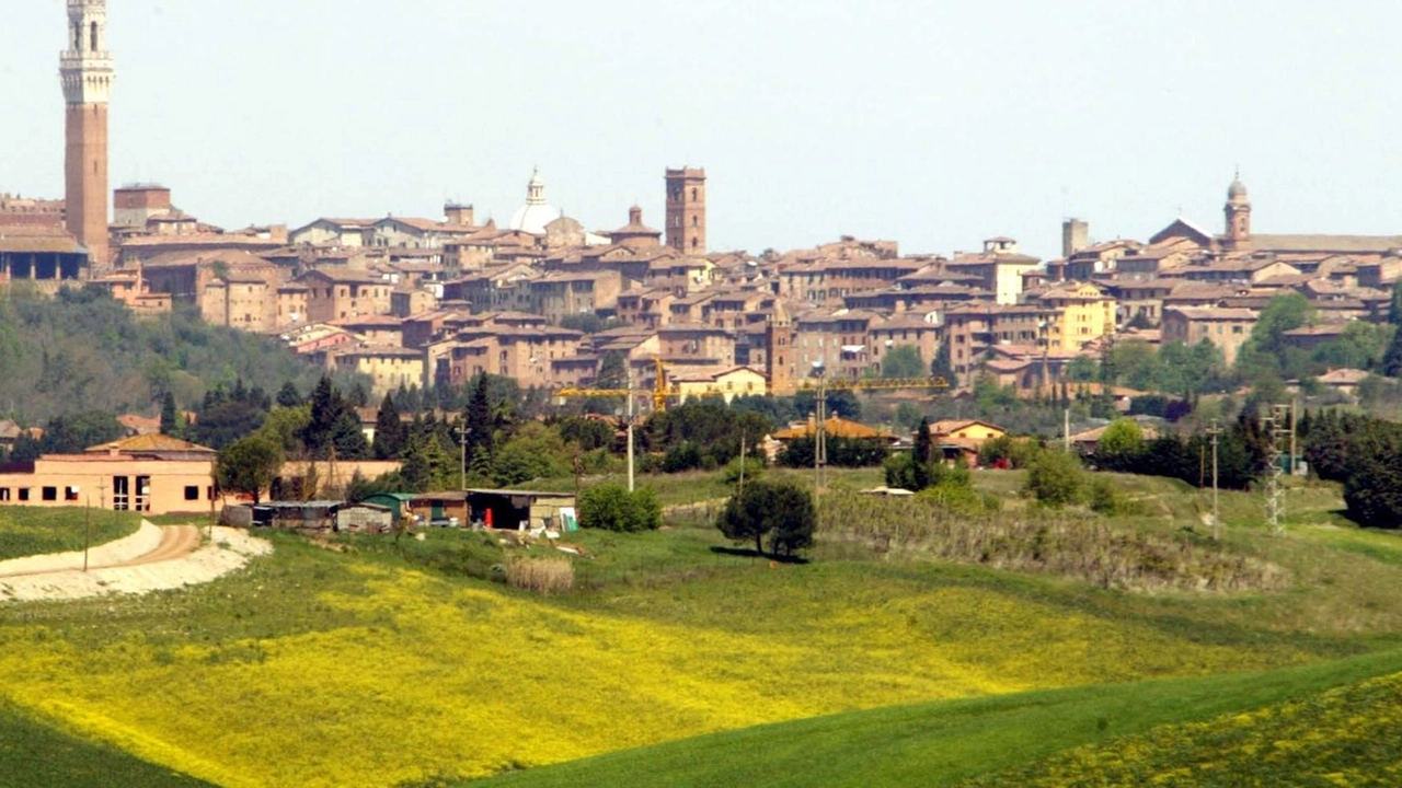 Nell’indagine del Sole 24 Ore, che fotografa il benessere dei territori, la nostra provincia balza in avanti. Ora è al quindicesimo posto: migliorano gli indicatori di 5 aree su 6, ma pesano le imprese in fallimento. Nell’indagine del Sole 24 Ore, che fotografa il benessere dei territori, la nostra provincia balza in avanti. Ora è al quindicesimo posto: migliorano gli indicatori di 5 aree su 6, ma pesano le imprese in fallimento.