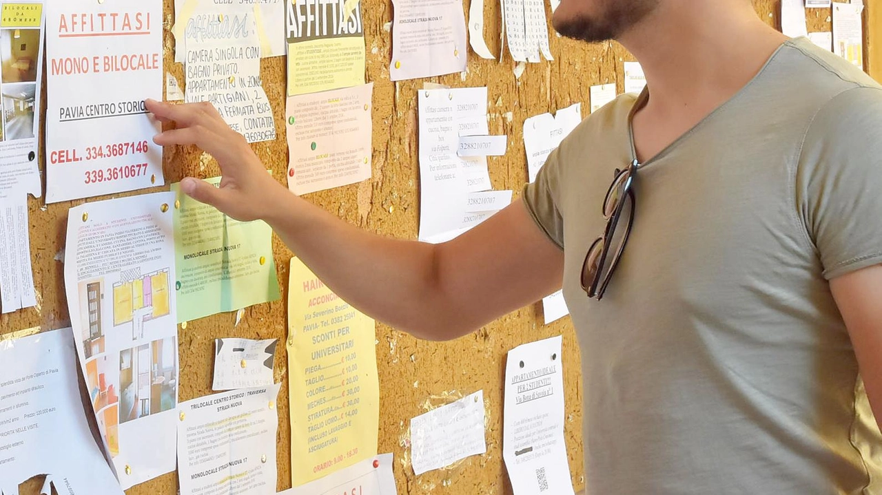 Il Comune di Impruneta ha pubblicato il bando per il contributo affitto, con scadenza il 24 ottobre. Anche il "Pacchetto Scuola" offre aiuti agli studenti. Il Comune di Impruneta ha pubblicato il bando per il contributo affitto, con scadenza il 24 ottobre. Anche il "Pacchetto Scuola" offre aiuti agli studenti.