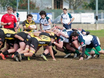 immagine articolo