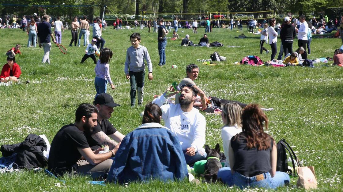 Cascine, il dono di Gucci. Contributo da 50mila euro. Più alberi e riqualificazione Cascine, il dono di Gucci. Contributo da 50mila euro. Più alberi e riqualificazione