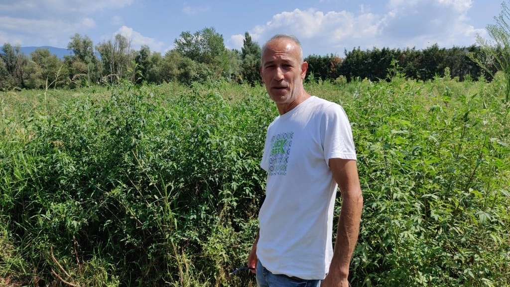 Sopra, residui di plastica nel terreno. In alto, Gheri e l’erba ormai alta sopra fango e rifiuti. In basso, una strada ancora chiusa Sopra, residui di plastica nel terreno. In alto, Gheri e l’erba ormai alta sopra fango e rifiuti. In basso, una strada ancora chiusa