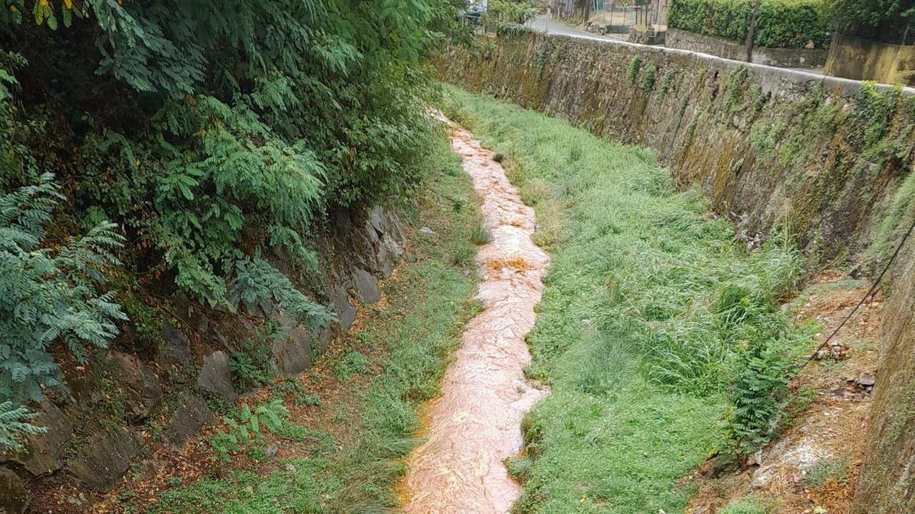 Le acque color marrone del torrente Baccatoio da tempo impensieriscono i residenti della zona e Nicola Conti chiede la soluzione Le acque color marrone del torrente Baccatoio da tempo impensieriscono i residenti della zona e Nicola Conti chiede la soluzione