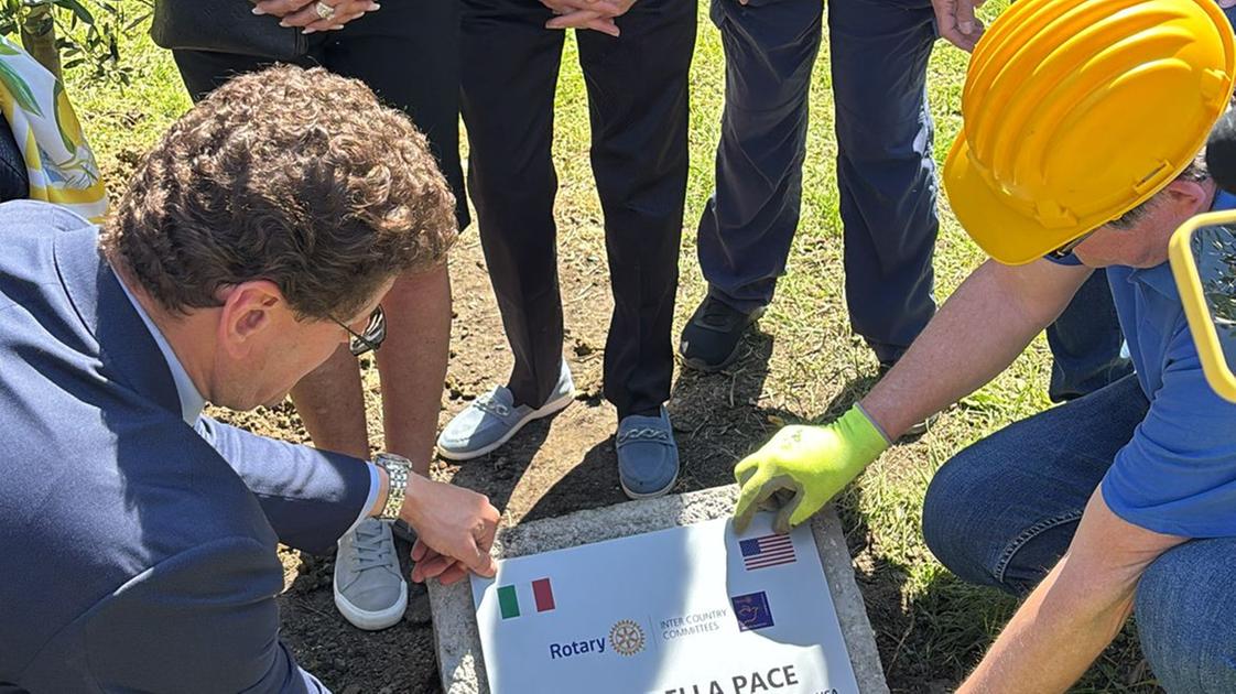 Un olivo per la pace: Rotary Italia e Usa uniti a Fiesole nel segno dell’amicizia Un olivo per la pace: Rotary Italia e Usa uniti a Fiesole nel segno dell’amicizia