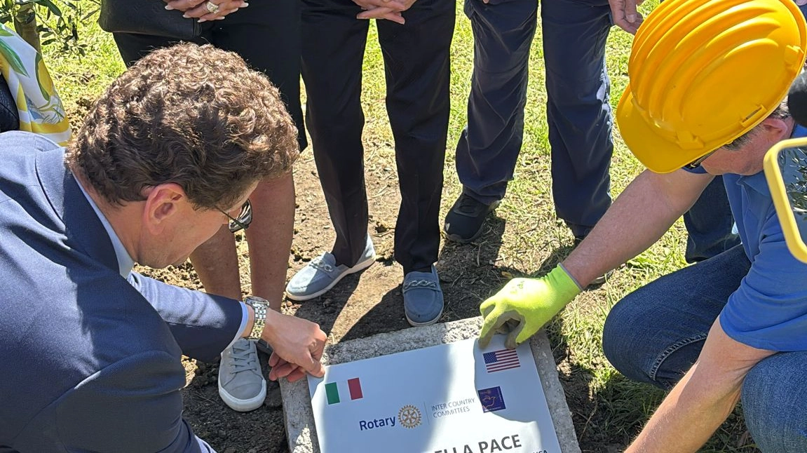 Il momento dell'apposizione della targa ai piedi dell'olivo della pace Il momento dell'apposizione della targa ai piedi dell'olivo della pace
