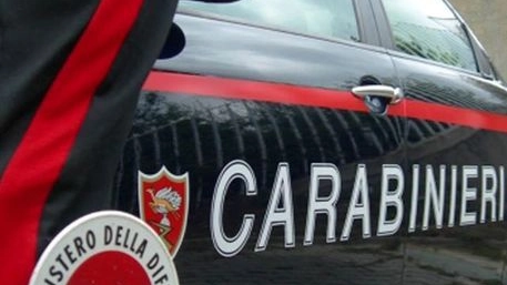 L'intervento dei carabinieri (foto Ansa)