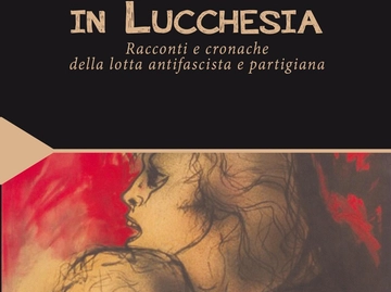 immagine articolo