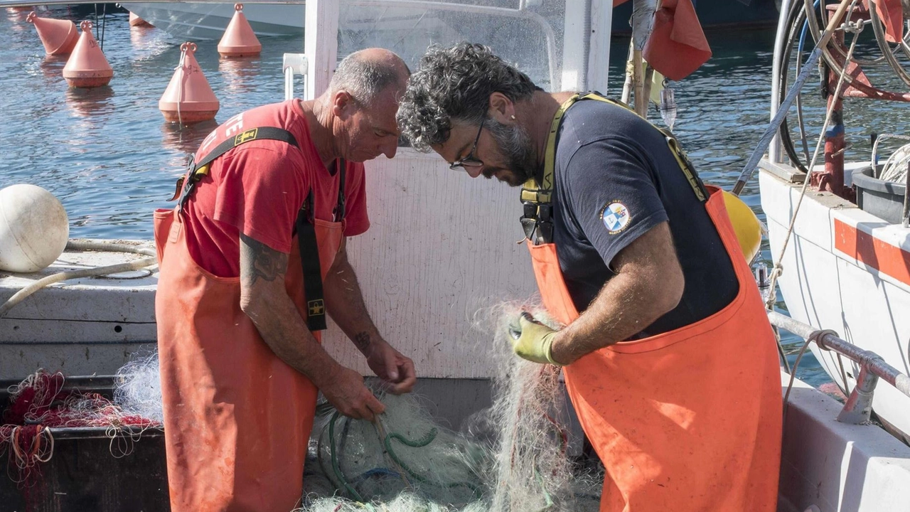 Il pescato dei pescatori di Isola del Giglio (che è presidio Slow Food) sarà proposto in alcune cene in ristoranti maremmani: la prima sarà venerdì Il pescato dei pescatori di Isola del Giglio (che è presidio Slow Food) sarà proposto in alcune cene in ristoranti maremmani: la prima sarà venerdì