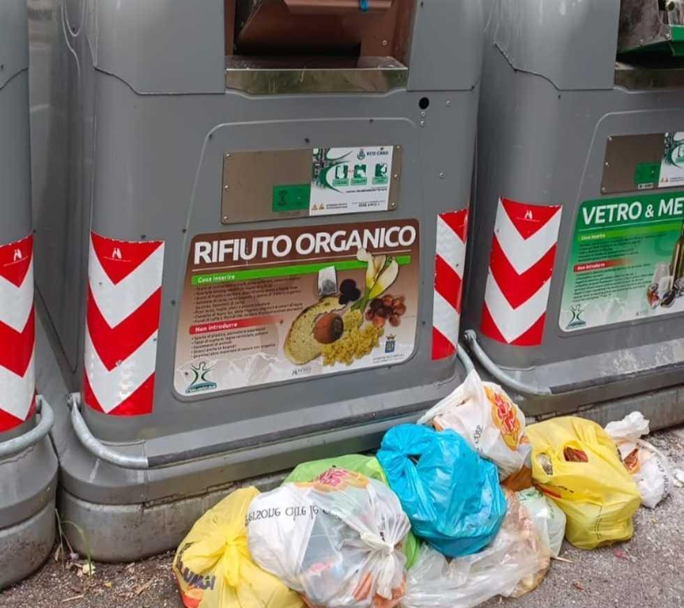 "Grazzano, un quartiere di serie B". La denuncia su degrado e spaccio "Grazzano, un quartiere di serie B". La denuncia su degrado e spaccio