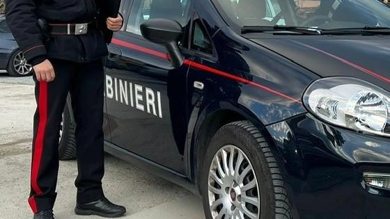 Due negozi devastati dai ladri. In fuga con pochi spiccioli. Le telecamere sotto esame