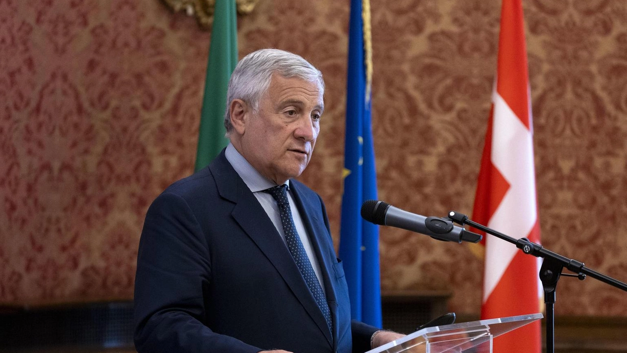 'Avrebbe senso ma senza base giuridica è un regalo a Putin' 'Avrebbe senso ma senza base giuridica è un regalo a Putin'