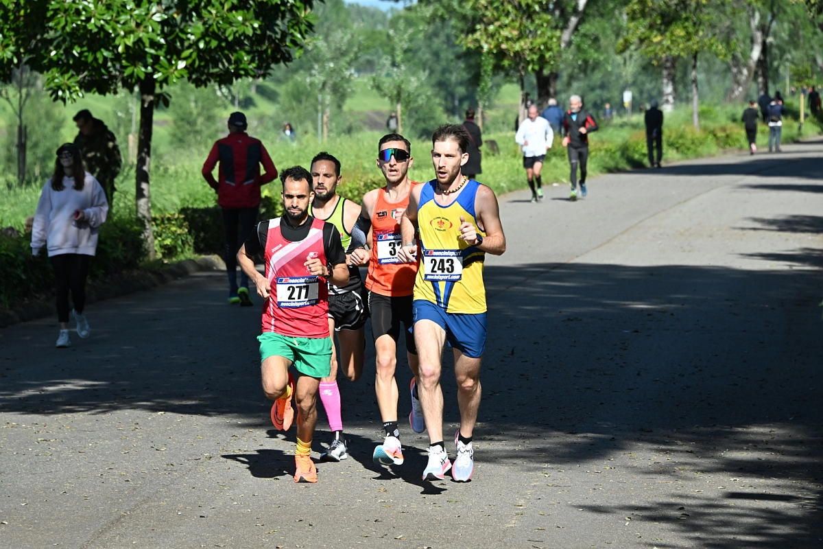 immagine di sfondo 11