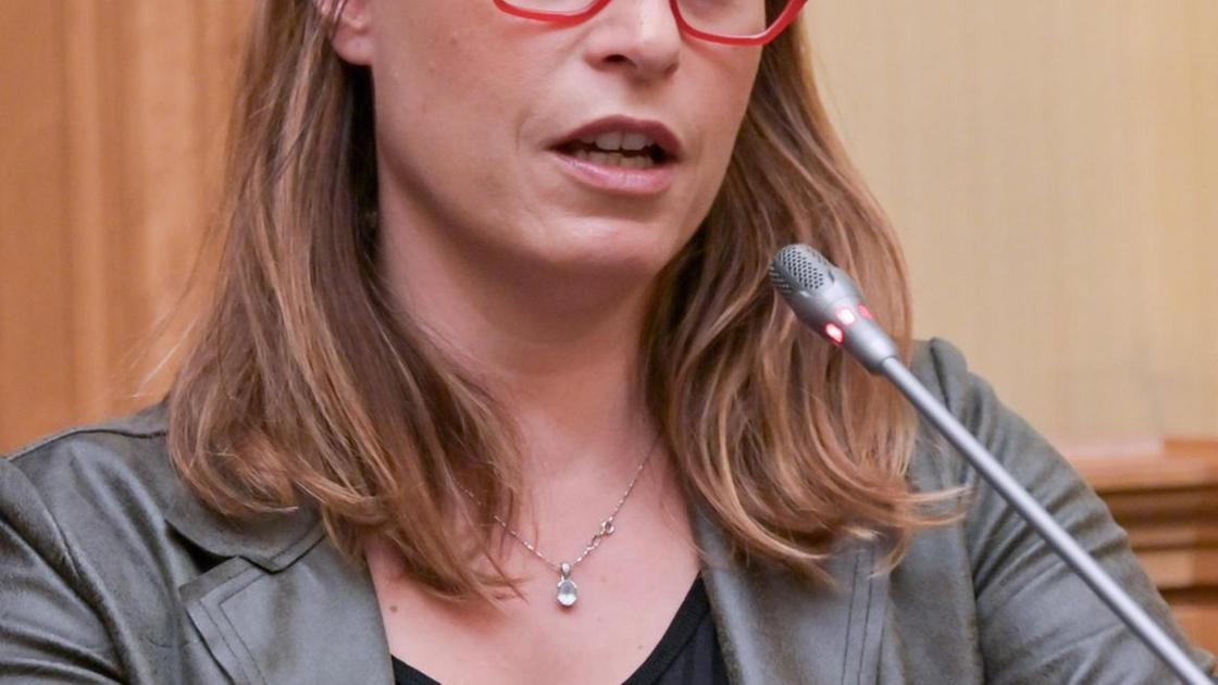 la maternit224 non pu242 essere una colpa e il caso sbarca in senato interrogazione al ministro