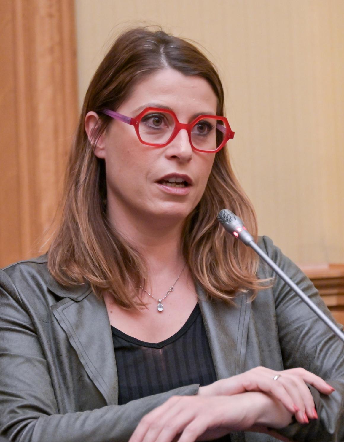 "La maternità non può essere una colpa". E il caso sbarca in Senato: interrogazione al ministro