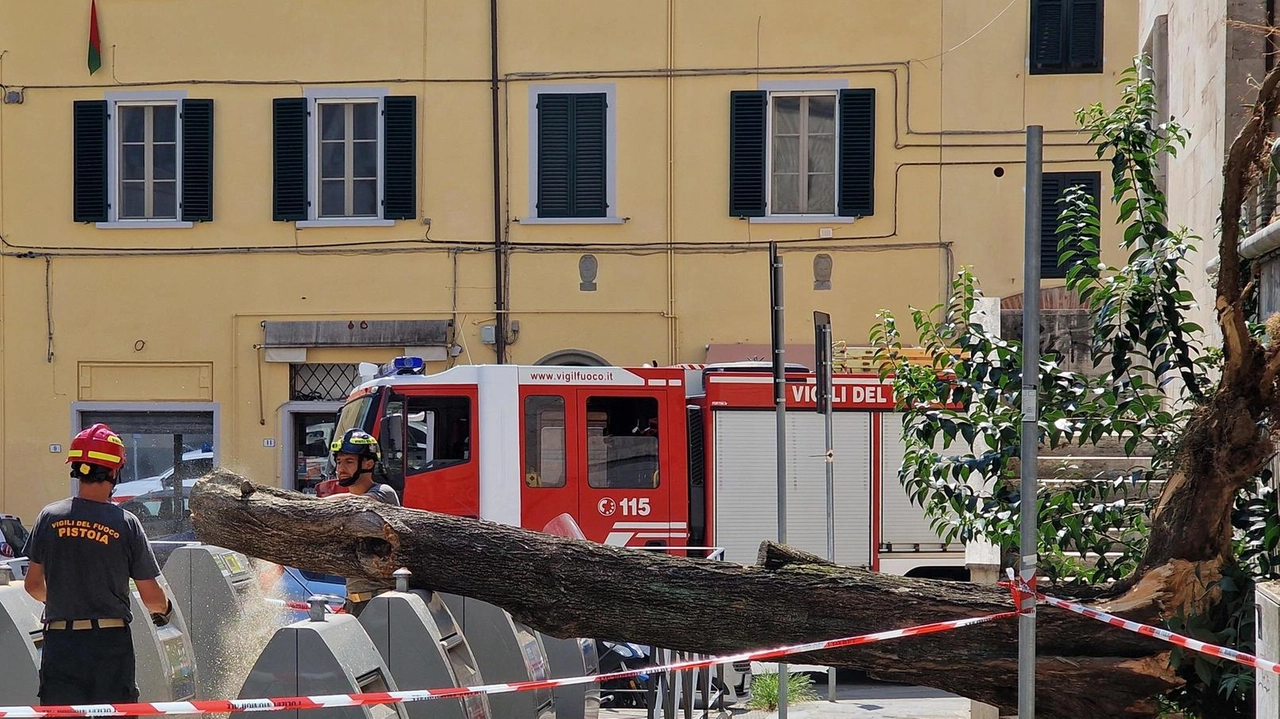 I vigili del fuoco hanno messo in sicurezza la zona (fotoservizio Acerboni/FotoCastellani) I vigili del fuoco hanno messo in sicurezza la zona (fotoservizio Acerboni/FotoCastellani)