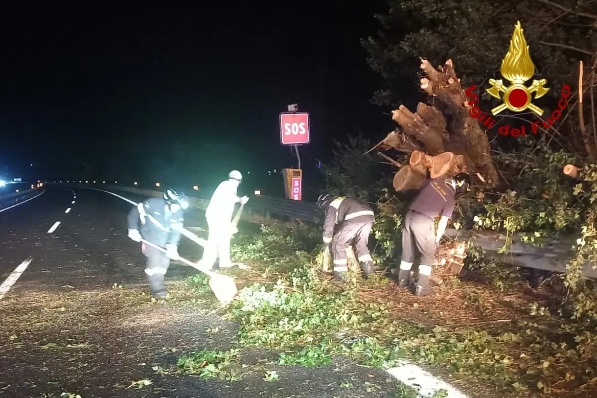 Notte di maltempo: vento forte, albero caduto in autostrada