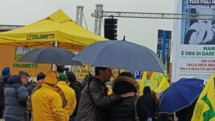 Si parlerà, tra le altre cose, anche di mobilitazione permanente a difesa del reddito delle imprese agricole e di concorrenza... Si parlerà, tra le altre cose, anche di mobilitazione permanente a difesa del reddito delle imprese agricole e di concorrenza...