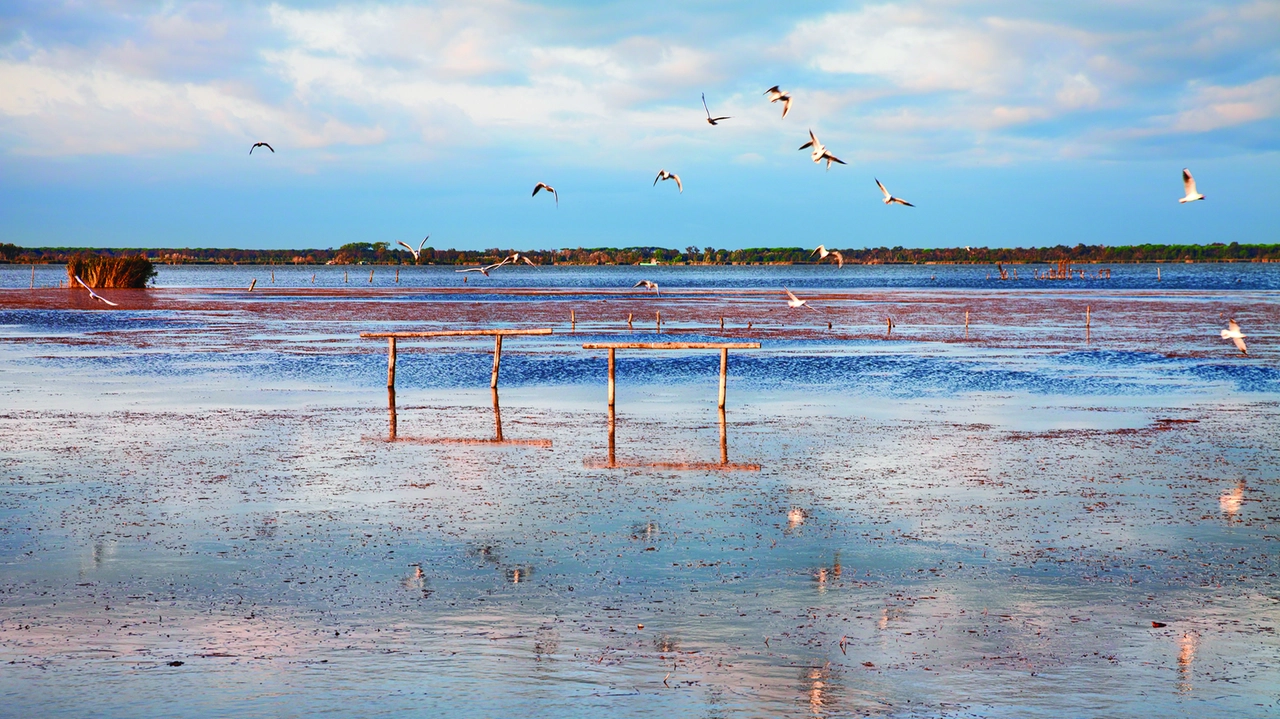 Alla scoperta dell'incantevole Lago di Massaciuccoli