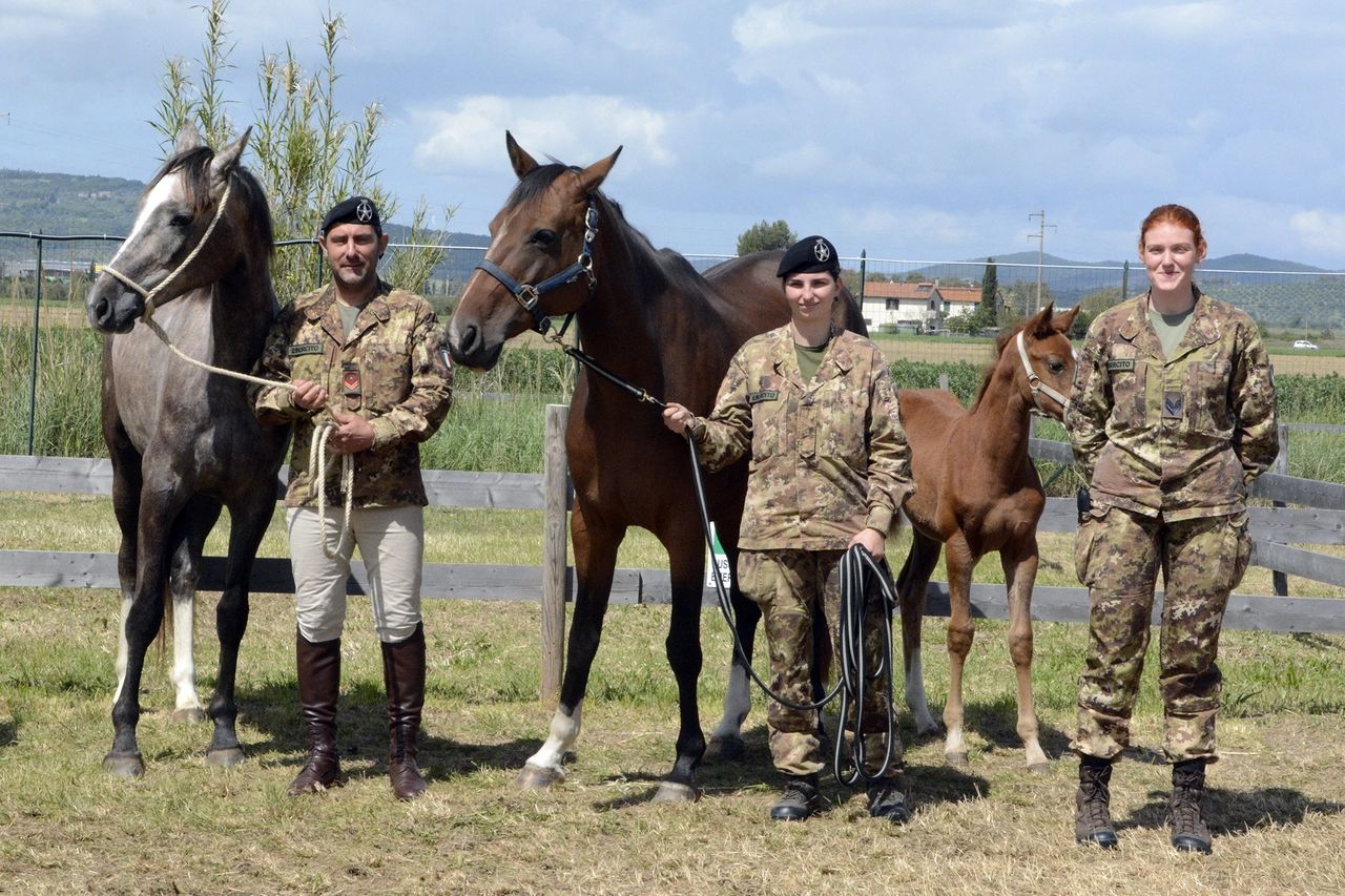 Il Centro Militare Veterinario al Madonnino (Foto Aprili)