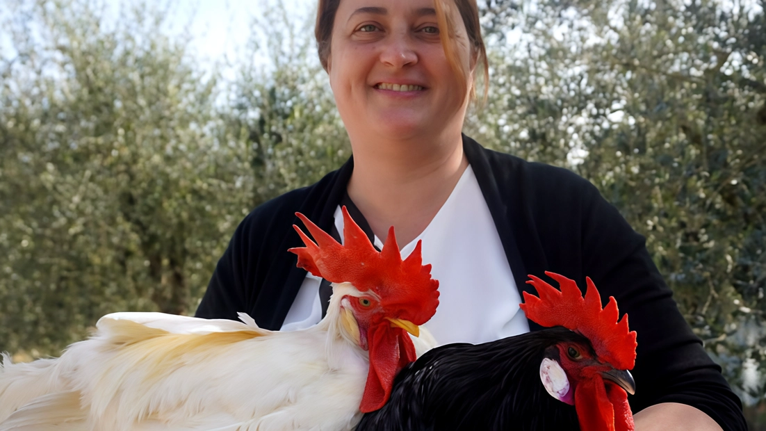 Laura Peri da 20 anni, sulle colline della città, si dedica a questa attività in campagna secondo la tradizione appresa dalla famiglia Laura Peri da 20 anni, sulle colline della città, si dedica a questa attività in campagna secondo la tradizione appresa dalla famiglia