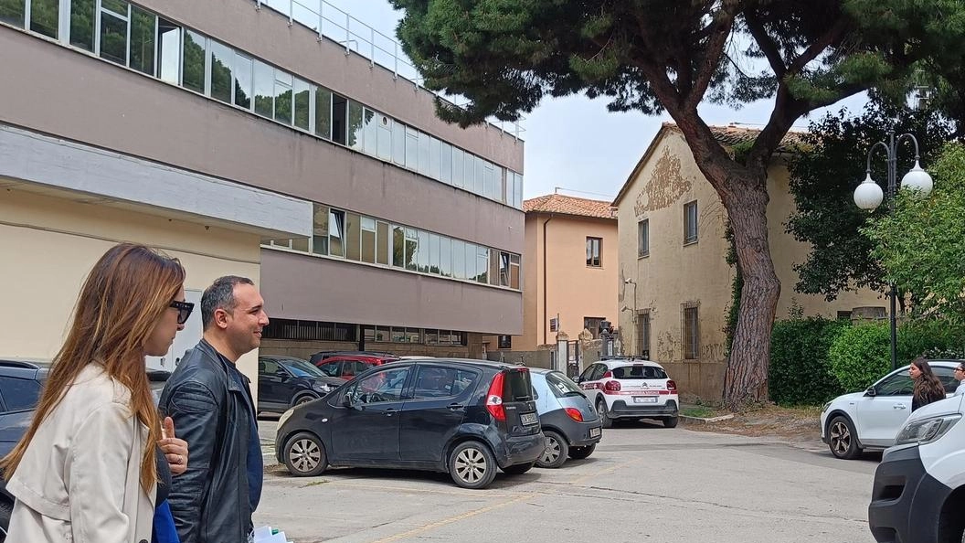 Il piano del verde pubblico. Pini a rischio da abbattere: "Ma saranno sostituiti"