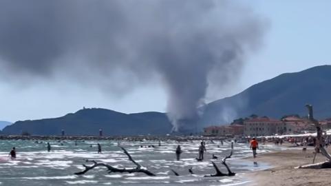 Incendio e paura in pineta: fuoco a Castiglione della Pescaia, 600 evacuati, anche Rosy Bindi Incendio e paura in pineta: fuoco a Castiglione della Pescaia, 600 evacuati, anche Rosy Bindi