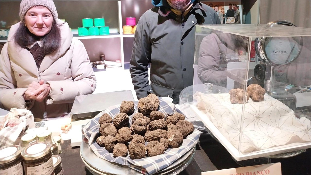 La città di San Miniato in gran fermento in vista dell’ultimo fine settimana della mostra del tartufo che è l’evento principale dell’anno per il centro storico La città di San Miniato in gran fermento in vista dell’ultimo fine settimana della mostra del tartufo che è l’evento principale dell’anno per il centro storico