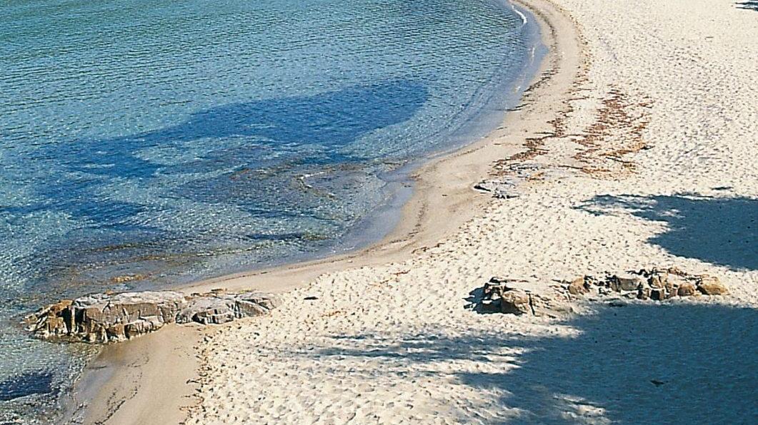 La spiaggia bianca di Cala Violina La spiaggia bianca di Cala Violina