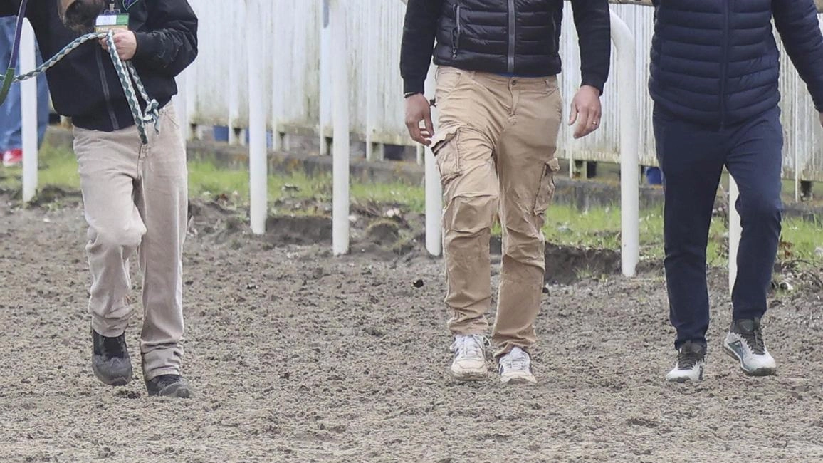 Il Comune renderà noto l’elenco dei segnati alle visite che si svolgono al galoppatoio Il Comune renderà noto l’elenco dei segnati alle visite che si svolgono al galoppatoio