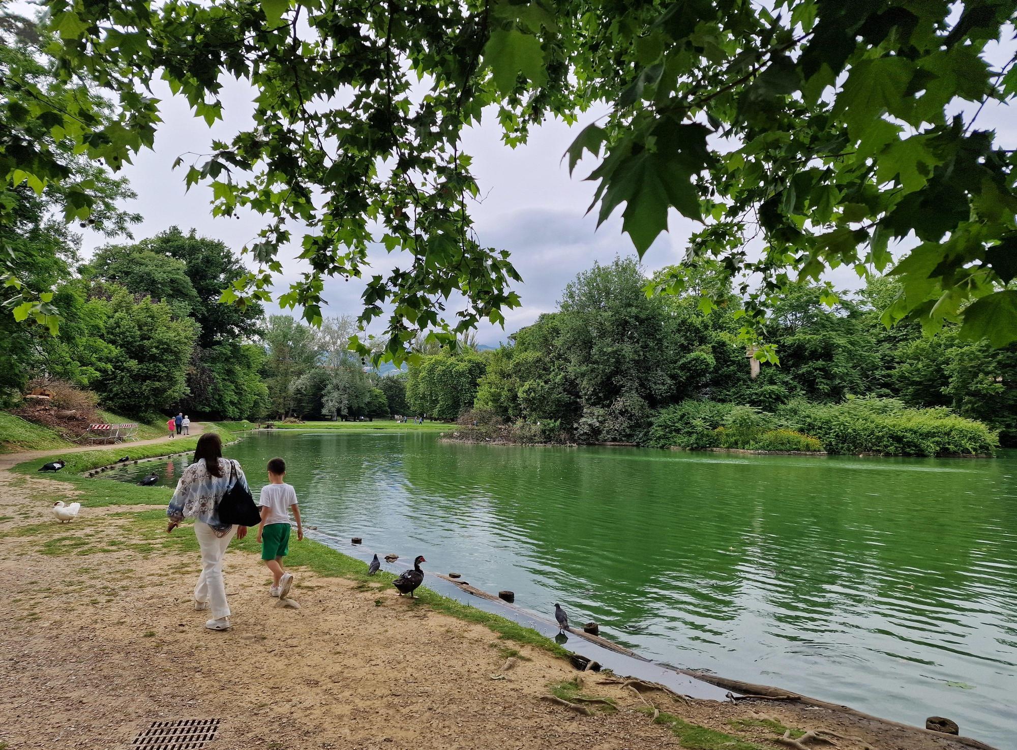 il caso del villon puccini alghe nocive nel lago interpellanza urgente da Lanazione.it il caso del villon puccini alghe nocive nel lago interpellanza urgente