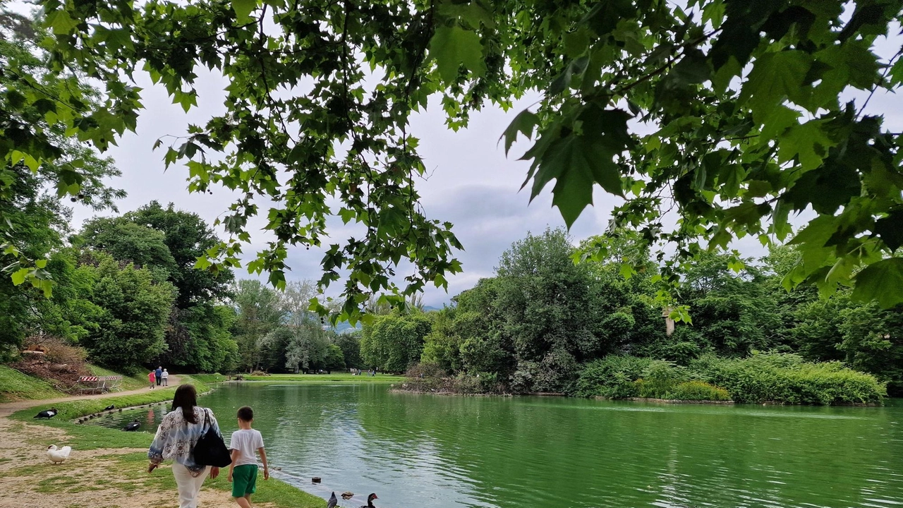 Il lago nel parco del Villon Puccini è finito al centro del dibattito politico (Acerboni/fotoCastellani) Il lago nel parco del Villon Puccini è finito al centro del dibattito politico (Acerboni/fotoCastellani)
