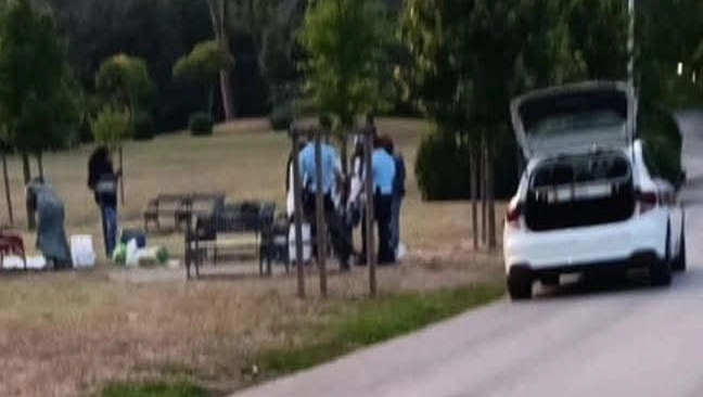 Sul posto è intervenuta la polizia municipale il sindaco Claudio Del Rosso ha ringraziato gli agenti e i cittadini Sul posto è intervenuta la polizia municipale il sindaco Claudio Del Rosso ha ringraziato gli agenti e i cittadini